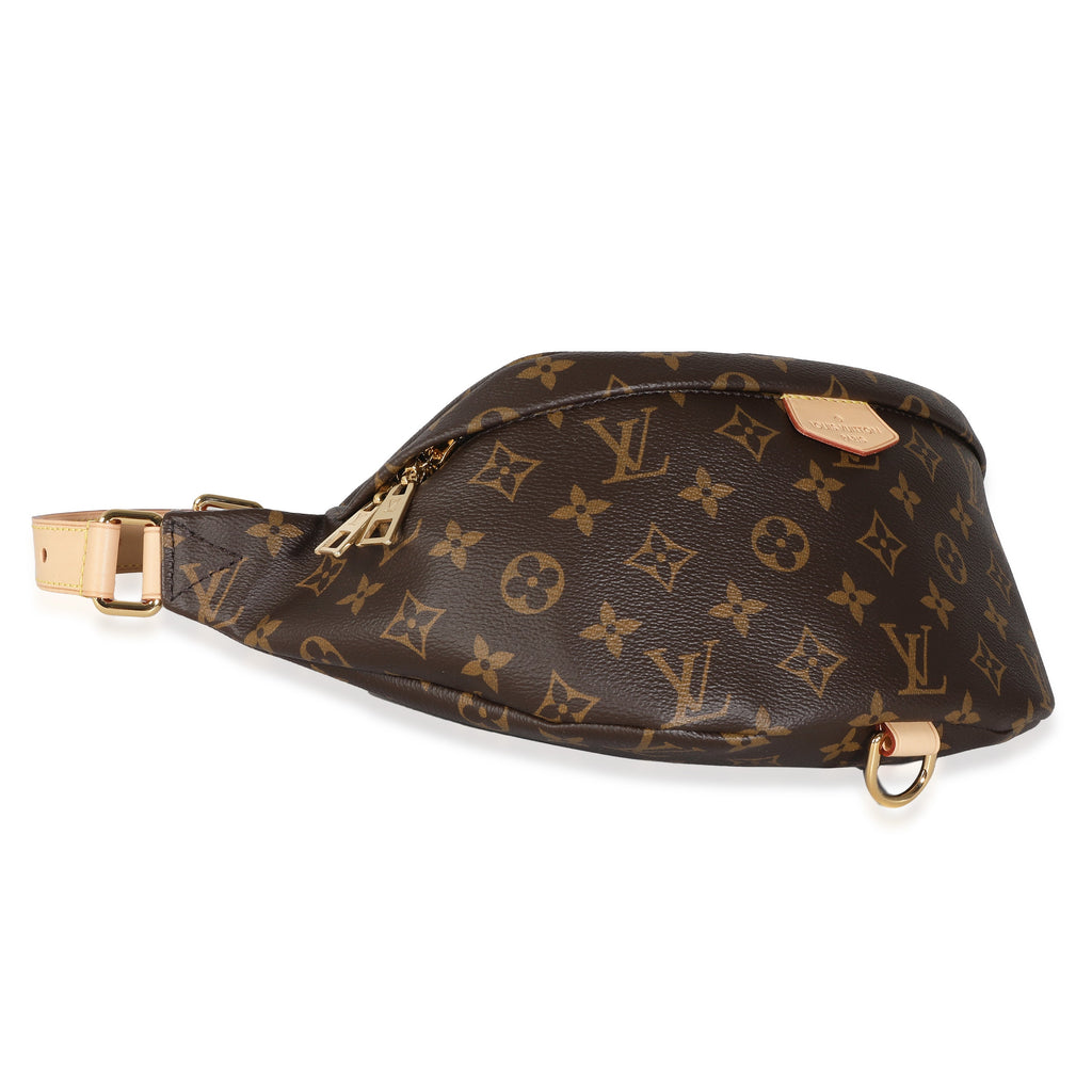 Louis Vuitton Louis Vuitton Monogram Canvas Bumbag