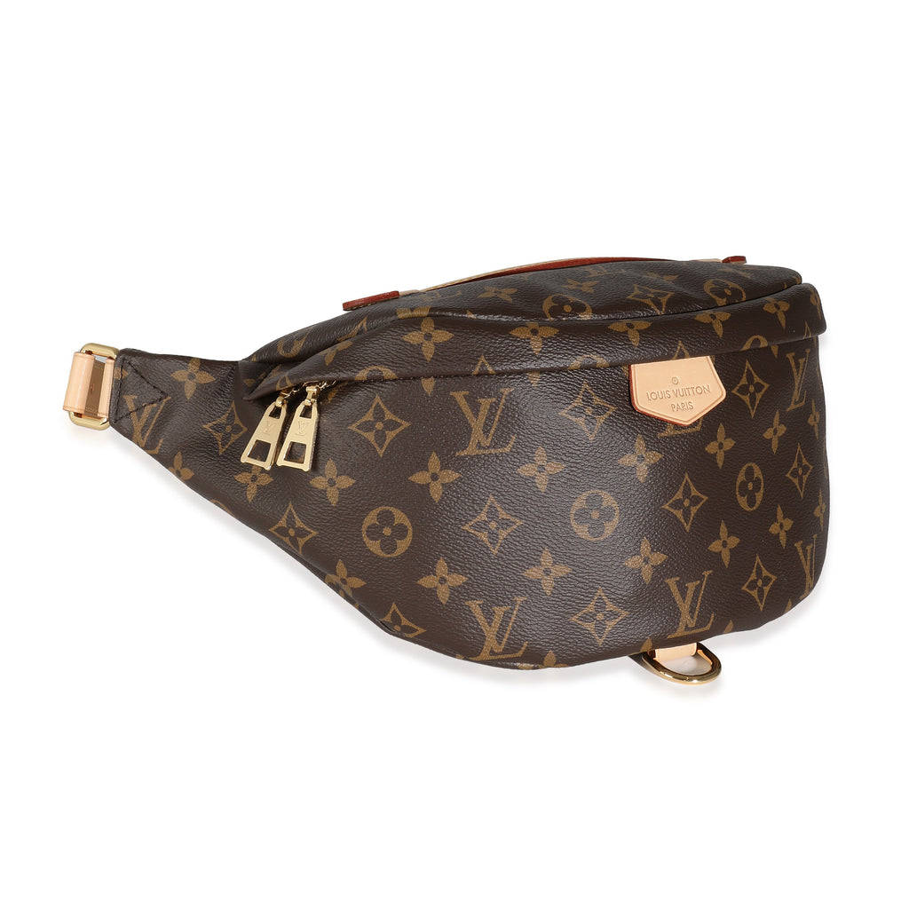 Louis Vuitton Louis Vuitton Monogram Canvas Bumbag