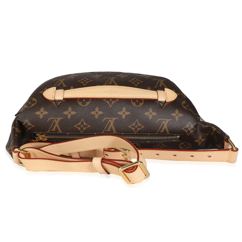 Louis Vuitton Louis Vuitton Monogram Canvas Bumbag