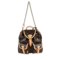Louis Vuitton Monogram Canvas Excursion PM