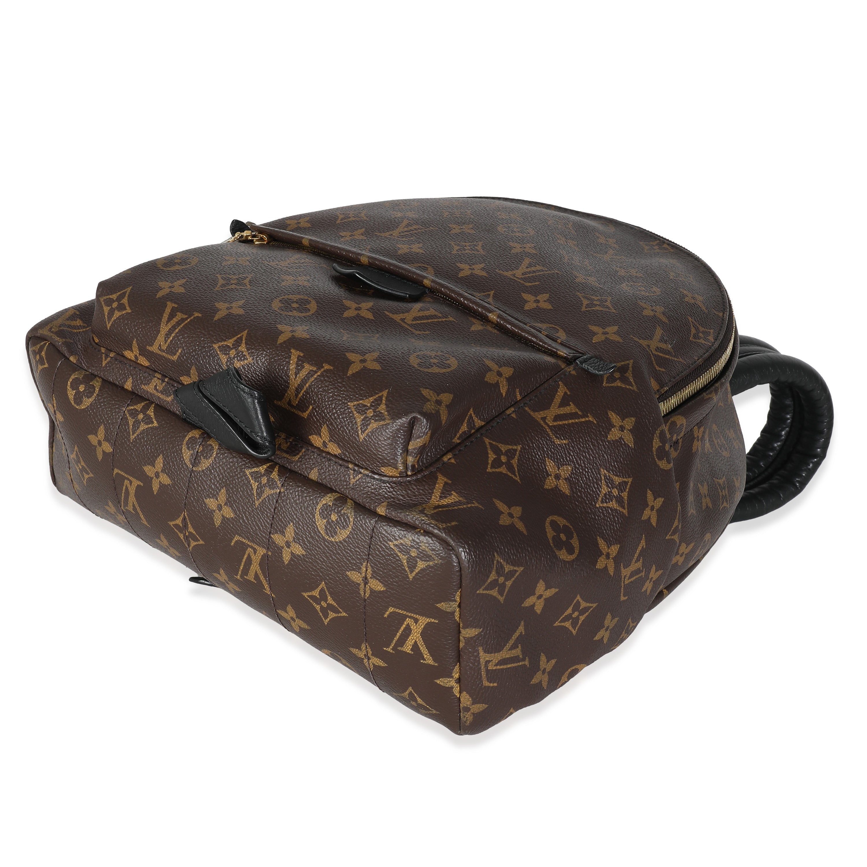 Louis Vuitton Louis Vuitton Monogram Canvas Palm Springs MM