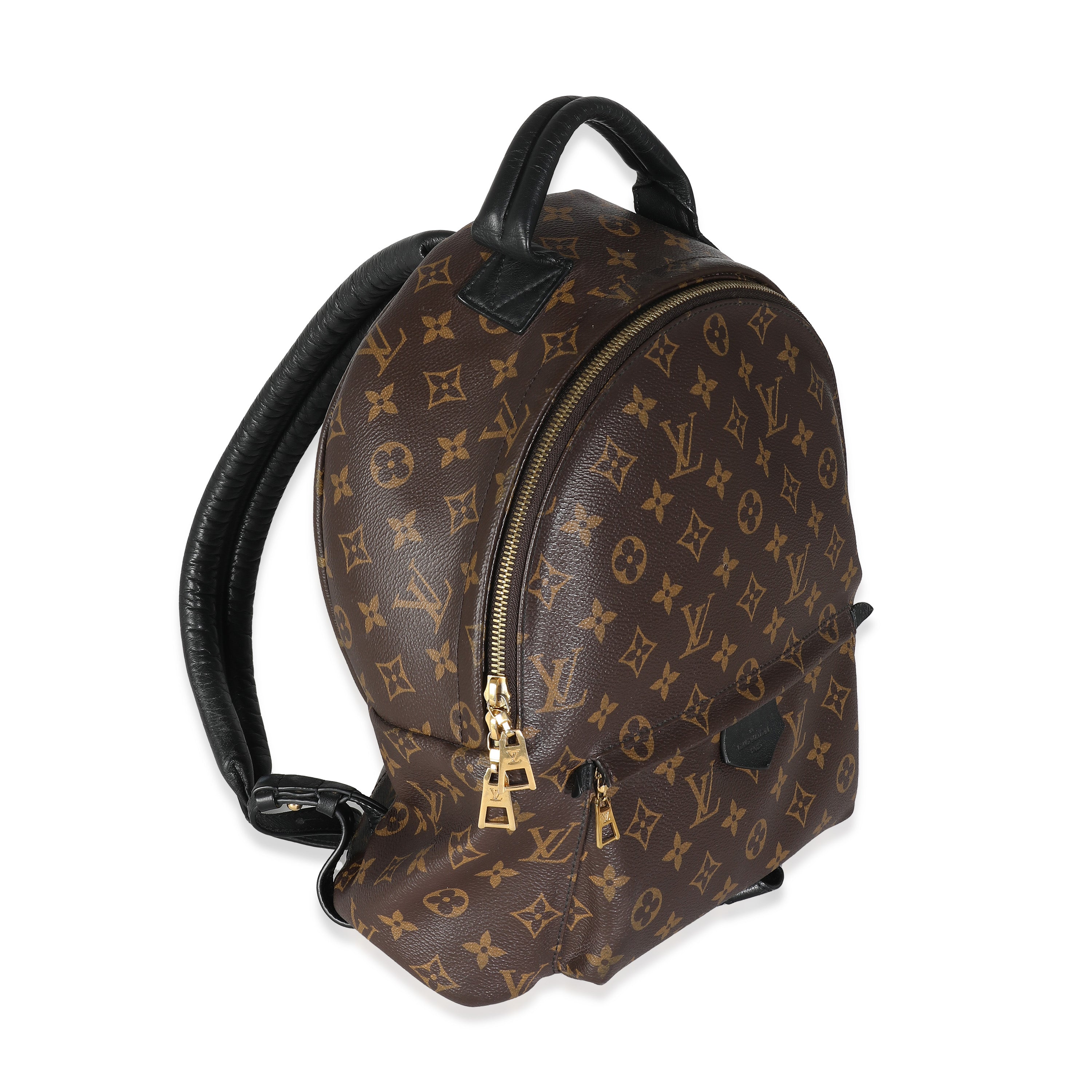 Louis Vuitton Louis Vuitton Monogram Canvas Palm Springs MM