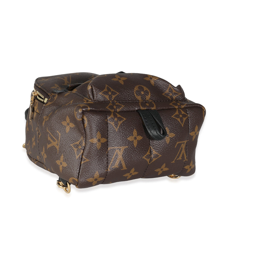 Louis Vuitton Louis Vuitton Monogram Canvas Mini Palm Springs