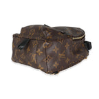 Louis Vuitton Louis Vuitton Monogram Canvas Mini Palm Springs