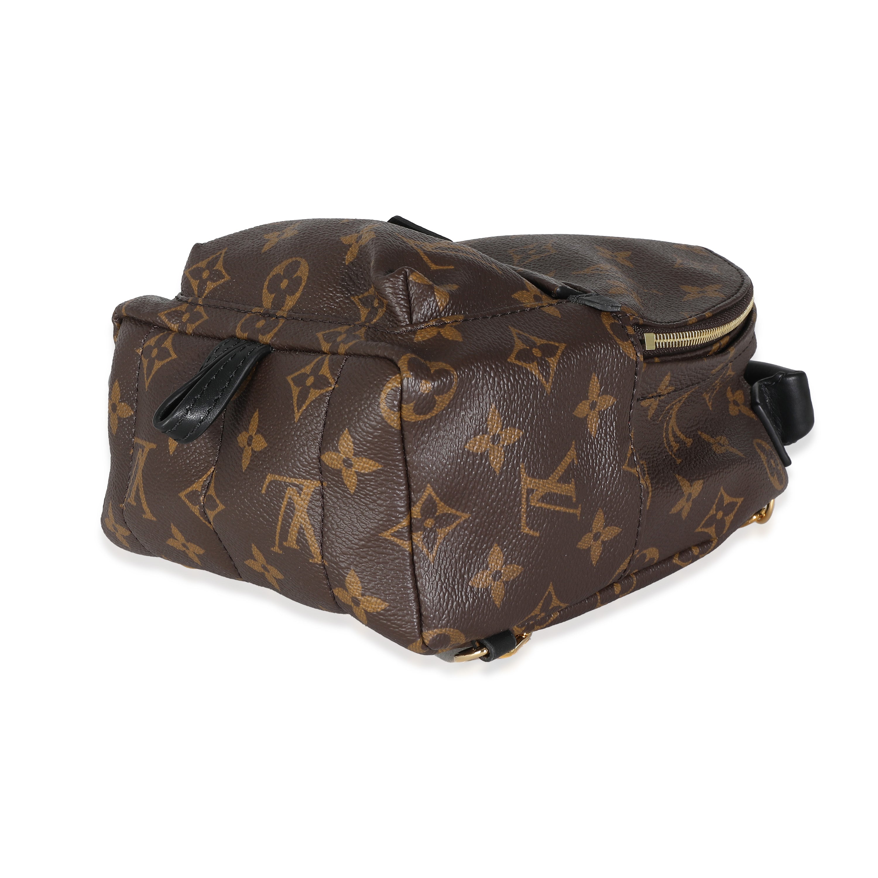 Louis Vuitton Louis Vuitton Monogram Canvas Mini Palm Springs