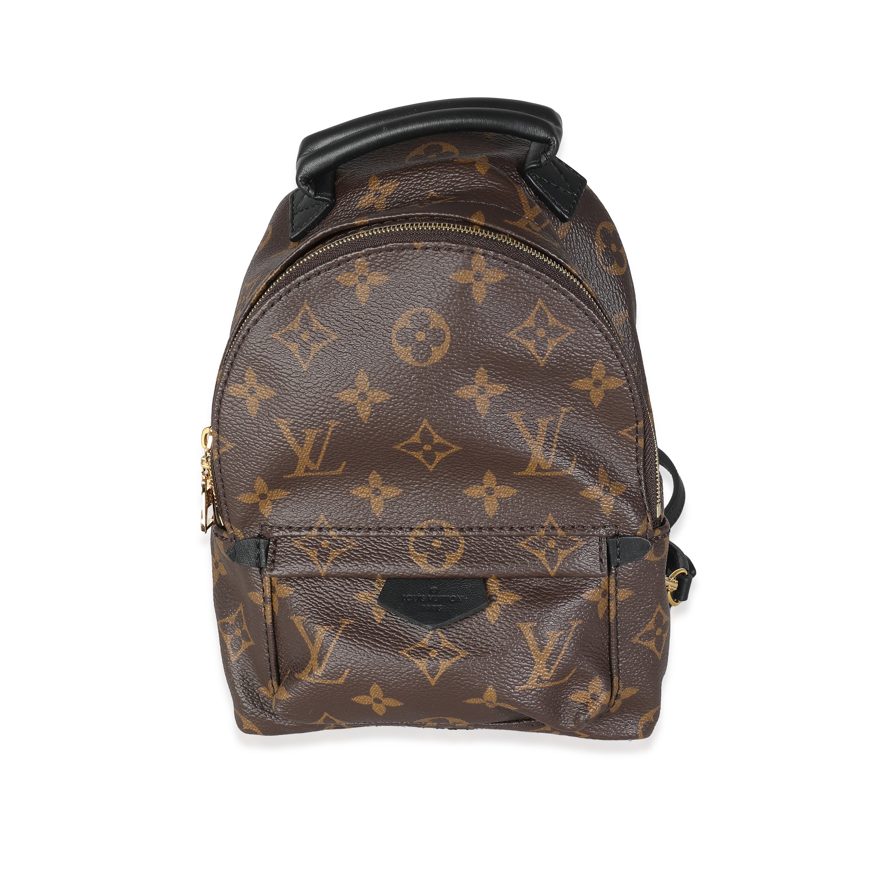 Louis Vuitton Louis Vuitton Monogram Canvas Mini Palm Springs