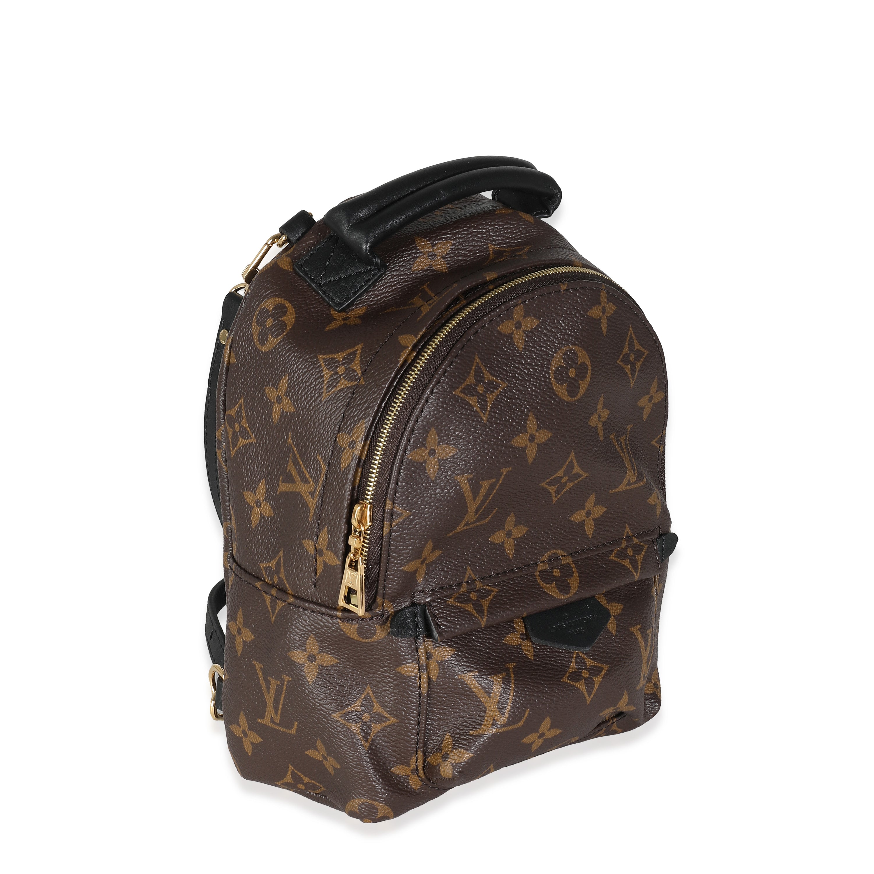 Louis Vuitton Louis Vuitton Monogram Canvas Mini Palm Springs