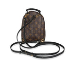 Louis Vuitton Louis Vuitton Monogram Canvas Mini Palm Springs