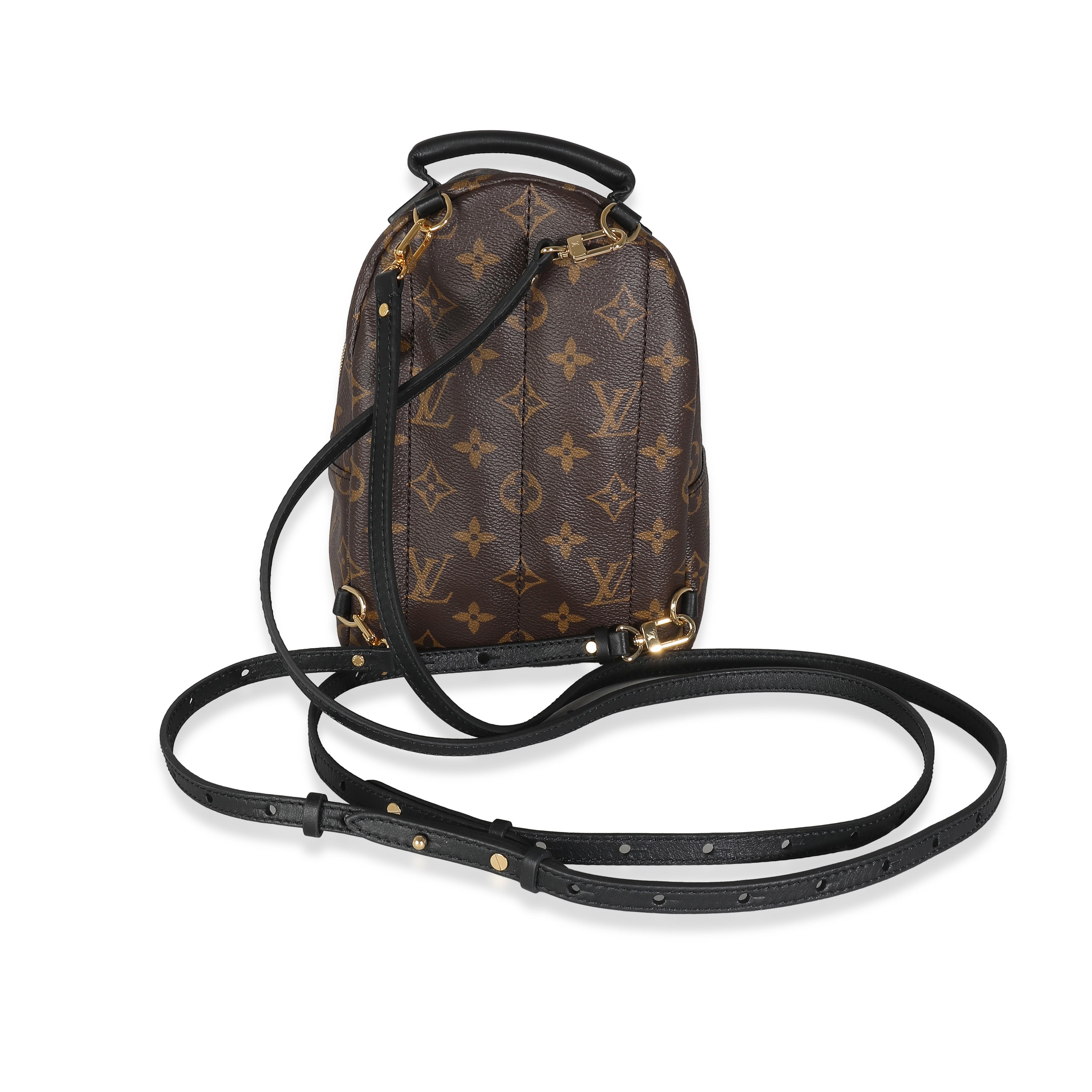 Louis Vuitton Louis Vuitton Monogram Canvas Mini Palm Springs