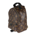Louis Vuitton Monogram Canvas Mini Palm Springs