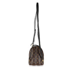 Louis Vuitton Monogram Canvas Mini Palm Springs