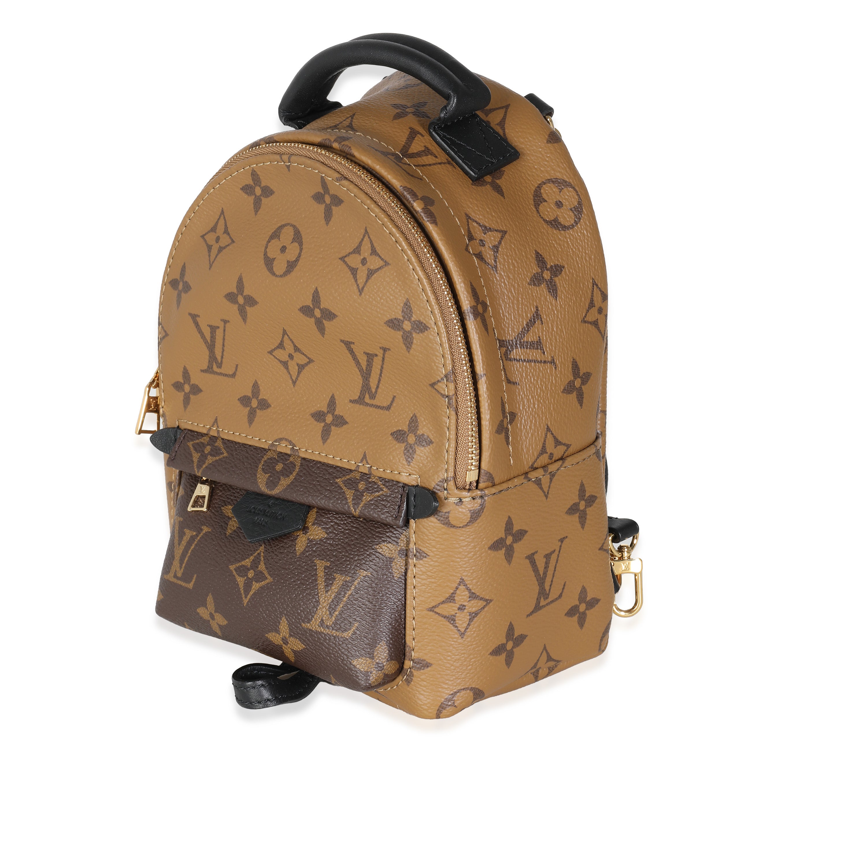Louis Vuitton Reverse Monogram Canvas Mini Palm Springs