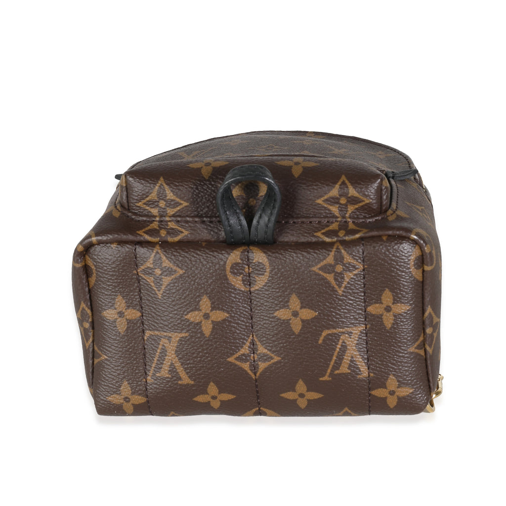 Louis Vuitton Monogram Canvas Mini Palm Springs