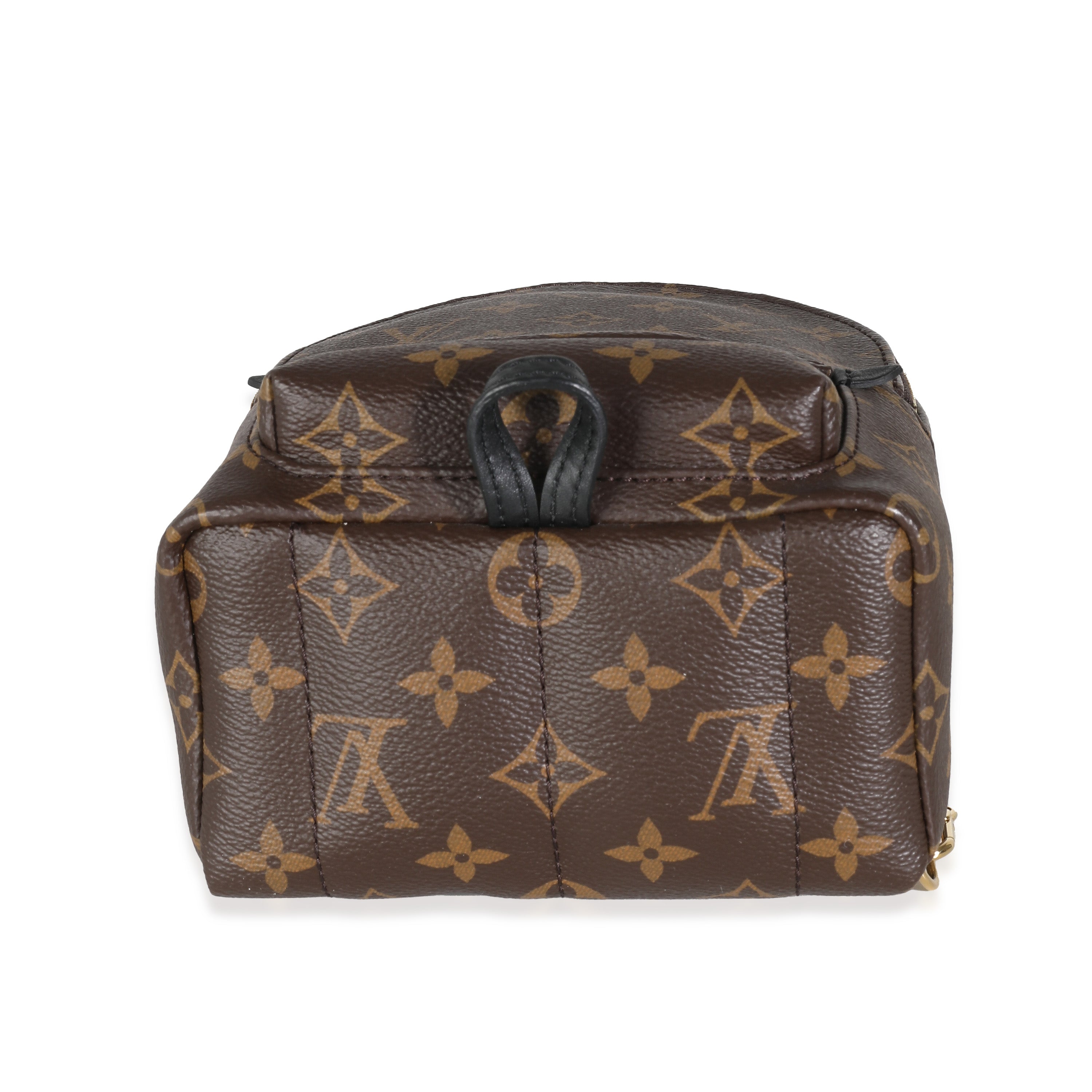 Louis Vuitton Monogram Canvas Mini Palm Springs