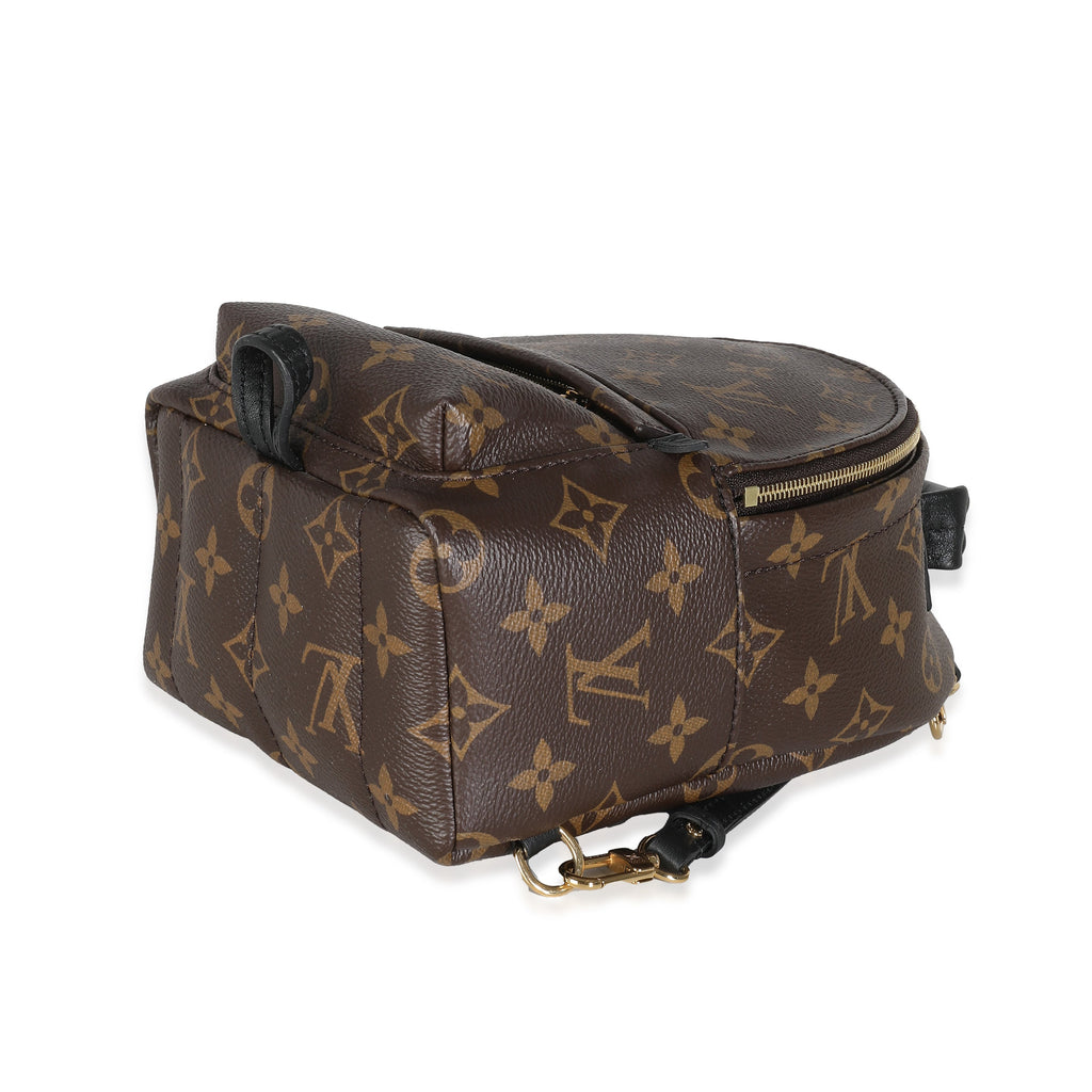 Louis Vuitton Monogram Canvas Mini Palm Springs