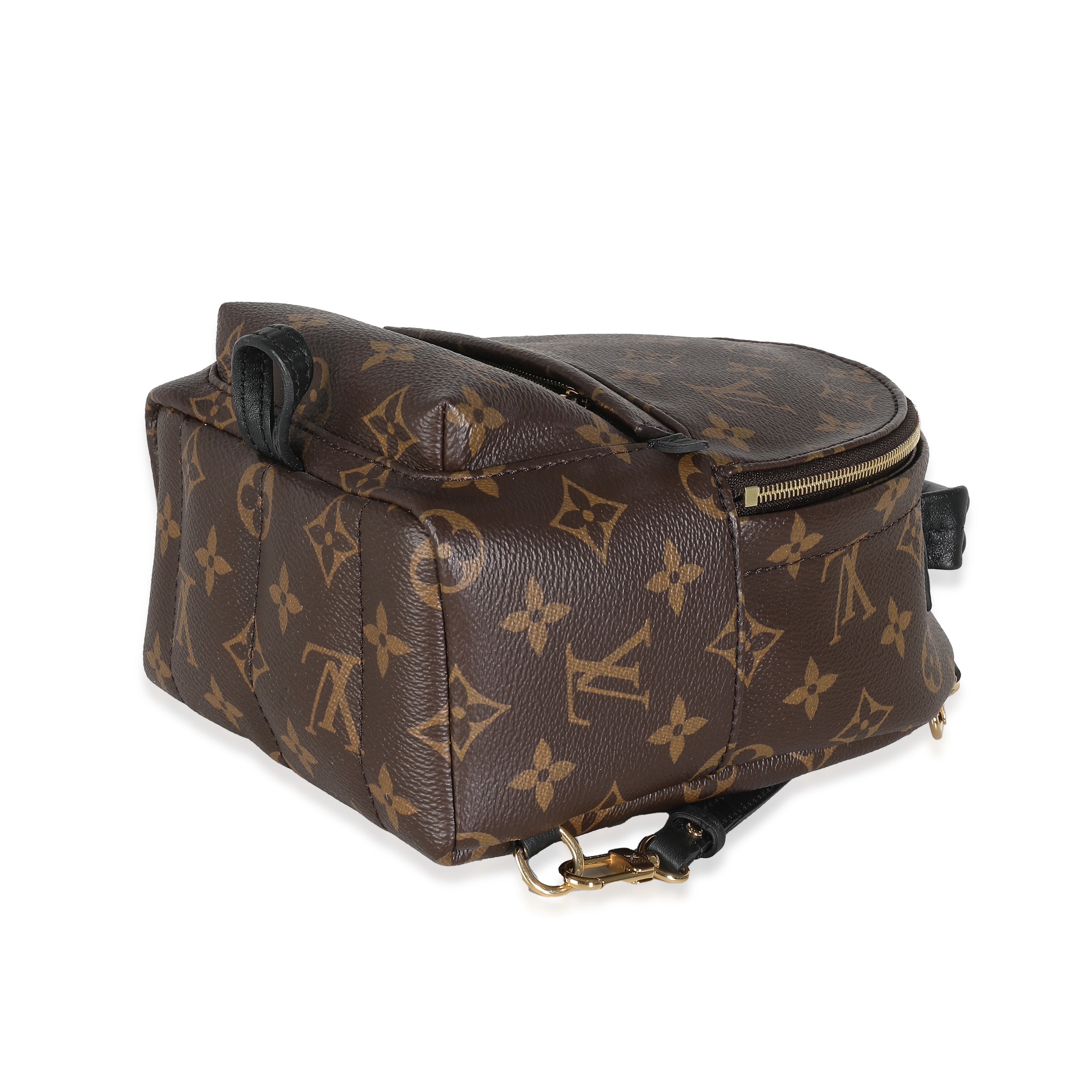Louis Vuitton Monogram Canvas Mini Palm Springs