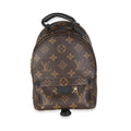Louis Vuitton Monogram Canvas Mini Palm Springs