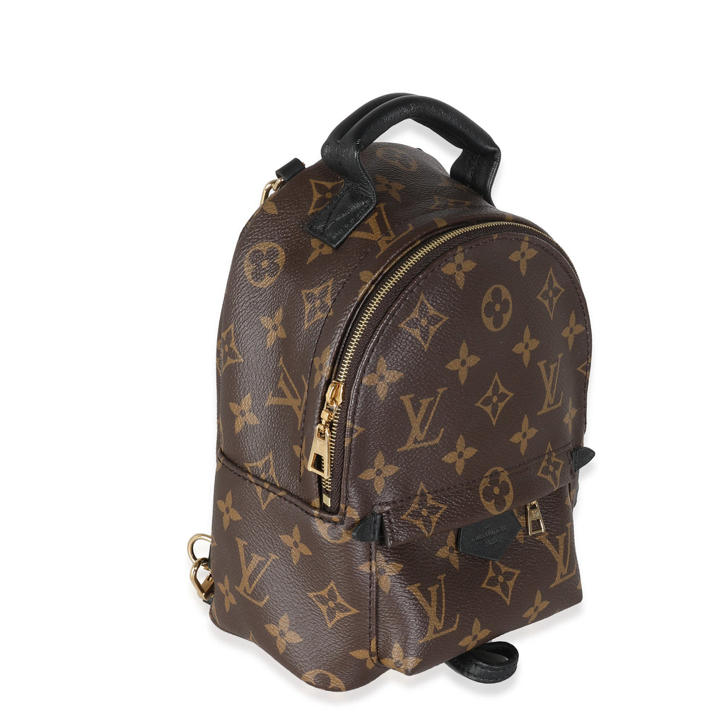 Louis Vuitton Monogram Canvas Mini Palm Springs