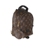 Louis Vuitton Monogram Canvas Mini Palm Springs
