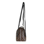 Louis Vuitton Monogram Canvas Mini Palm Springs