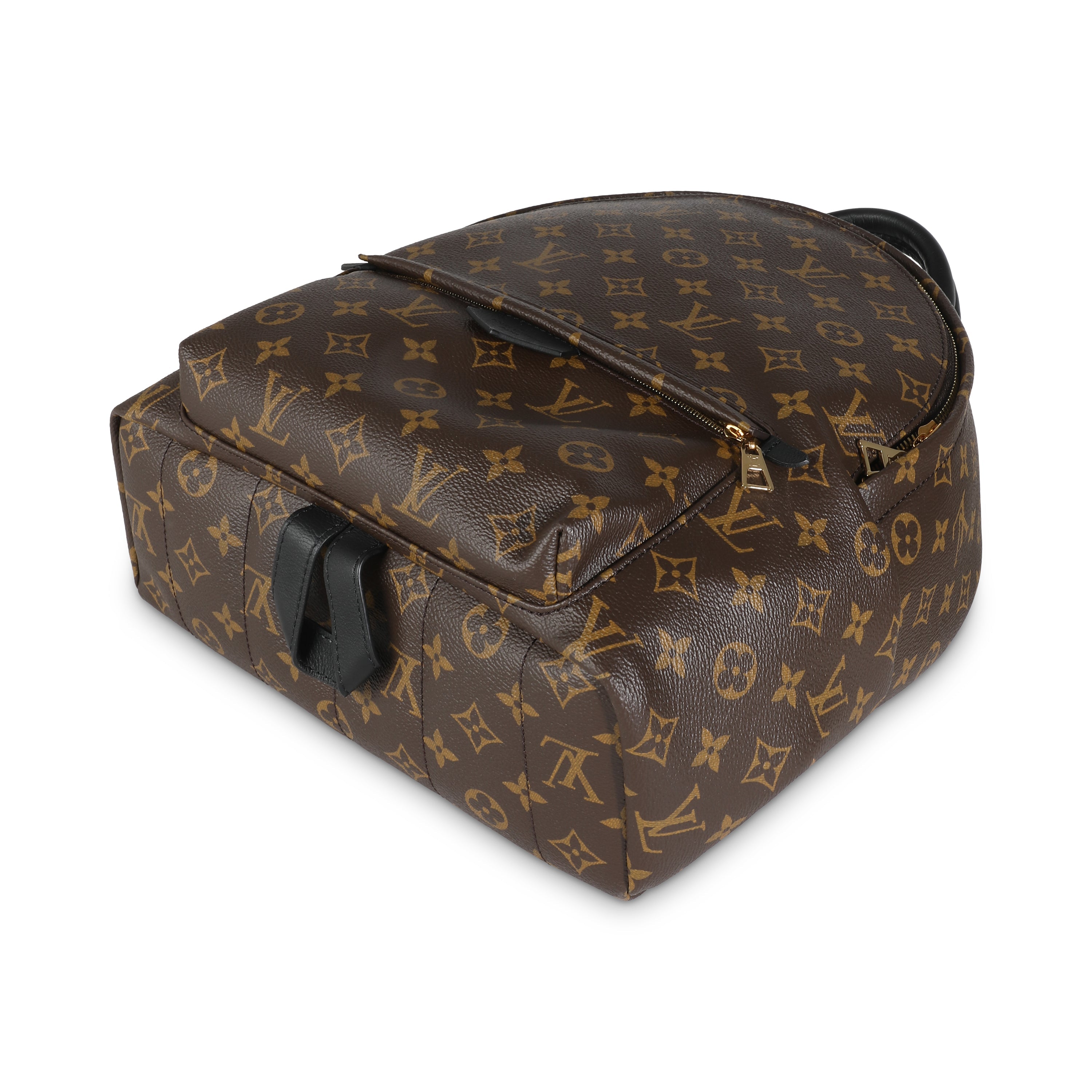 Louis Vuitton Monogram Canvas Palm Springs MM