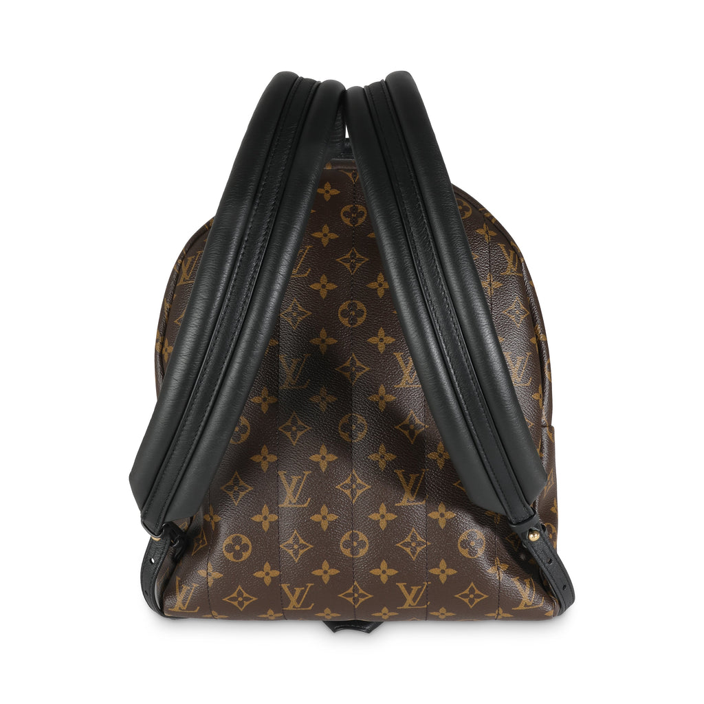 Louis Vuitton Monogram Canvas Palm Springs MM