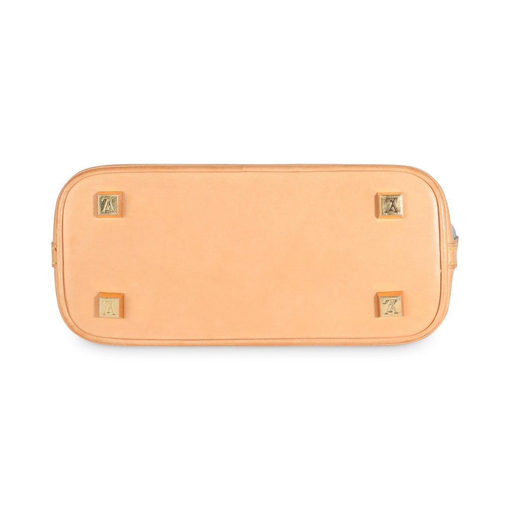 Louis Vuitton Monogram Vinyl Ambre PM