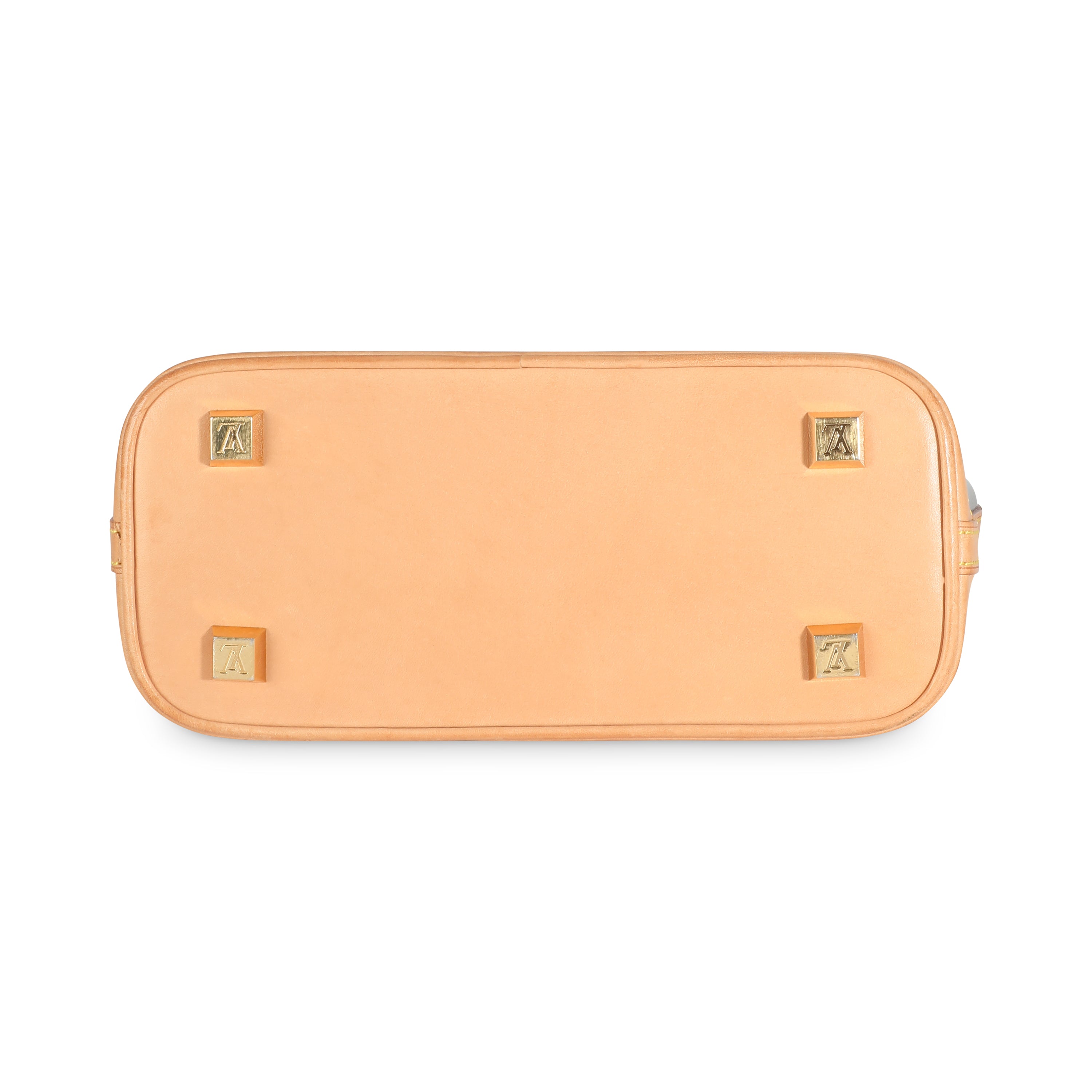 Louis Vuitton Monogram Vinyl Ambre PM