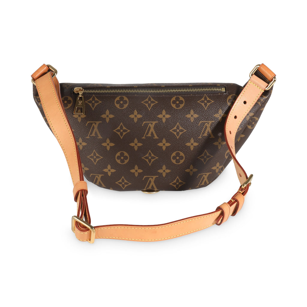 Louis Vuitton Monogram Canvas Bumbag