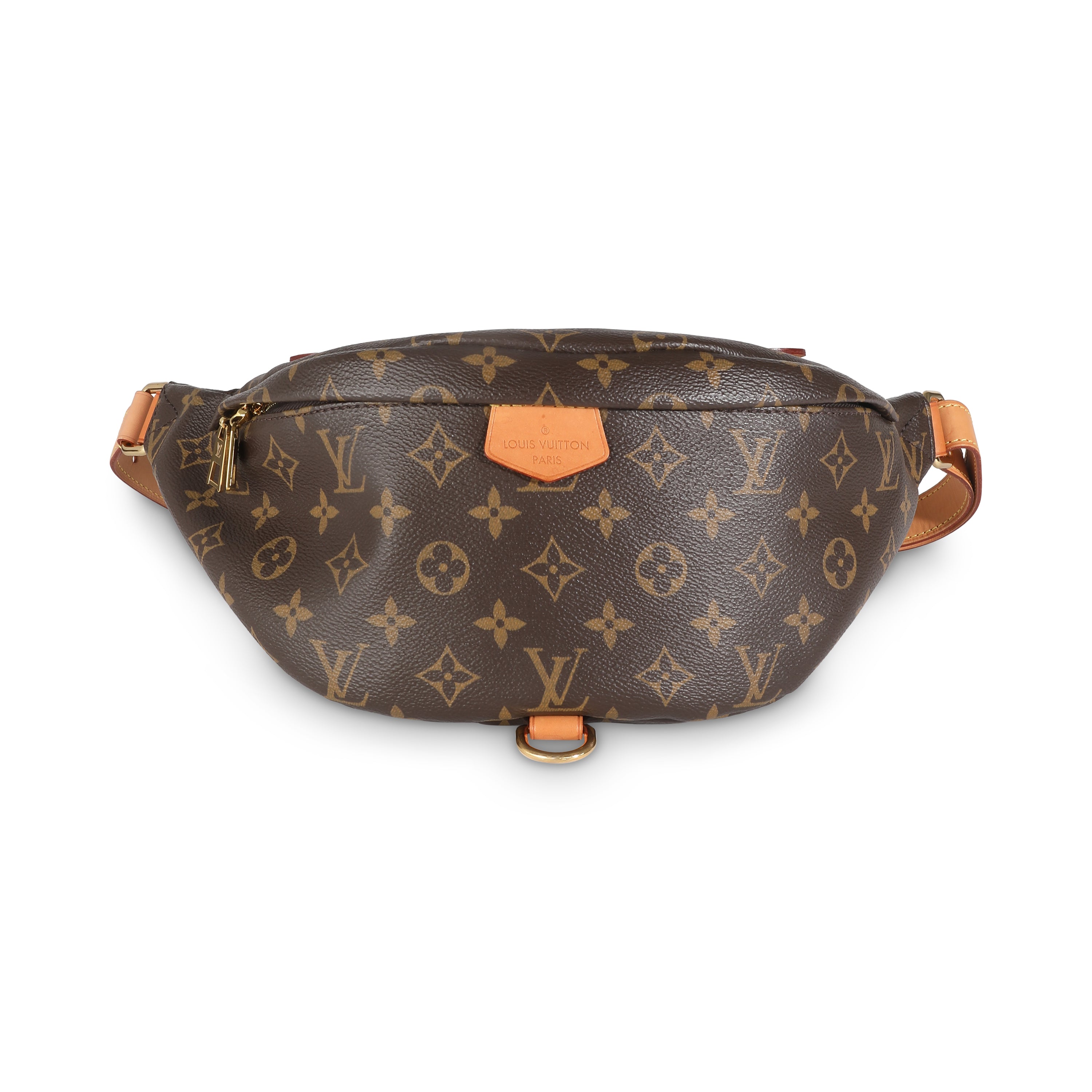 Louis Vuitton Monogram Canvas Bumbag