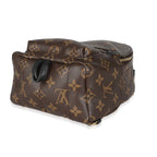 Louis Vuitton Monogram Canvas Mini Palm Springs