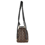 Louis Vuitton Monogram Canvas Mini Palm Springs