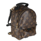 Louis Vuitton Monogram Canvas Mini Palm Springs