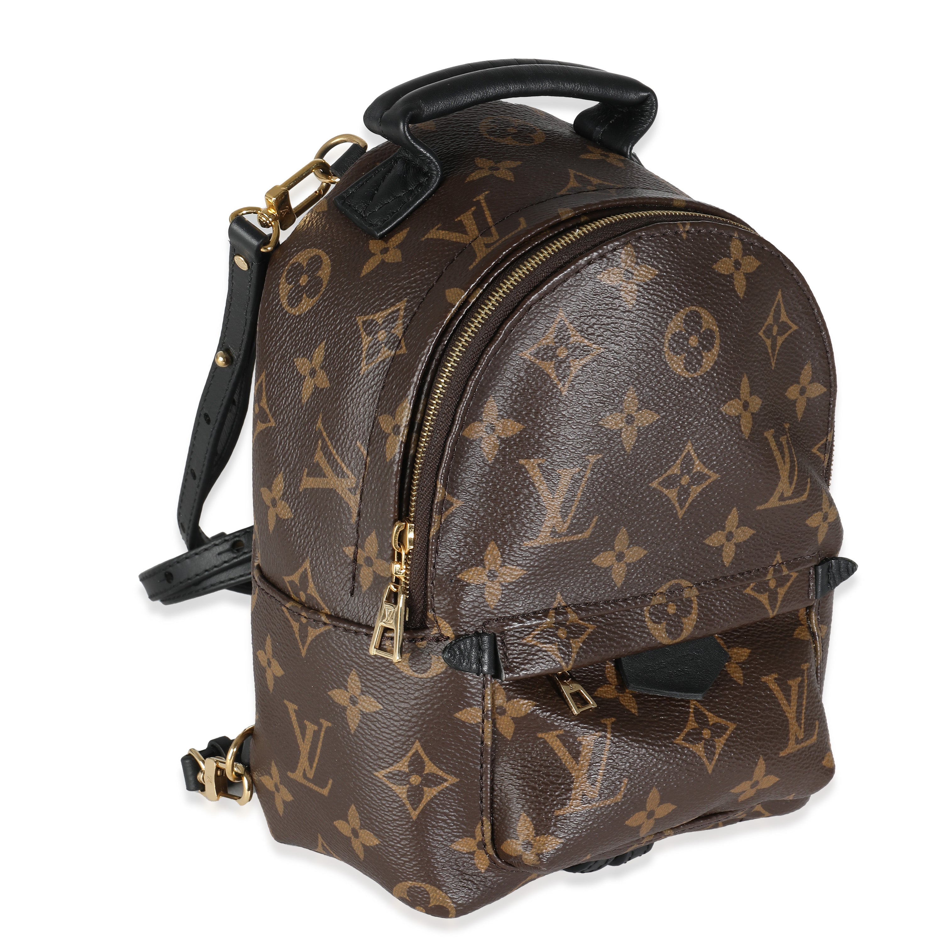 Louis Vuitton Monogram Canvas Mini Palm Springs
