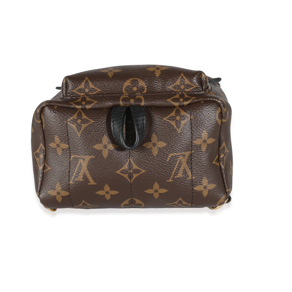 Louis Vuitton Monogram Canvas Mini Palm Springs