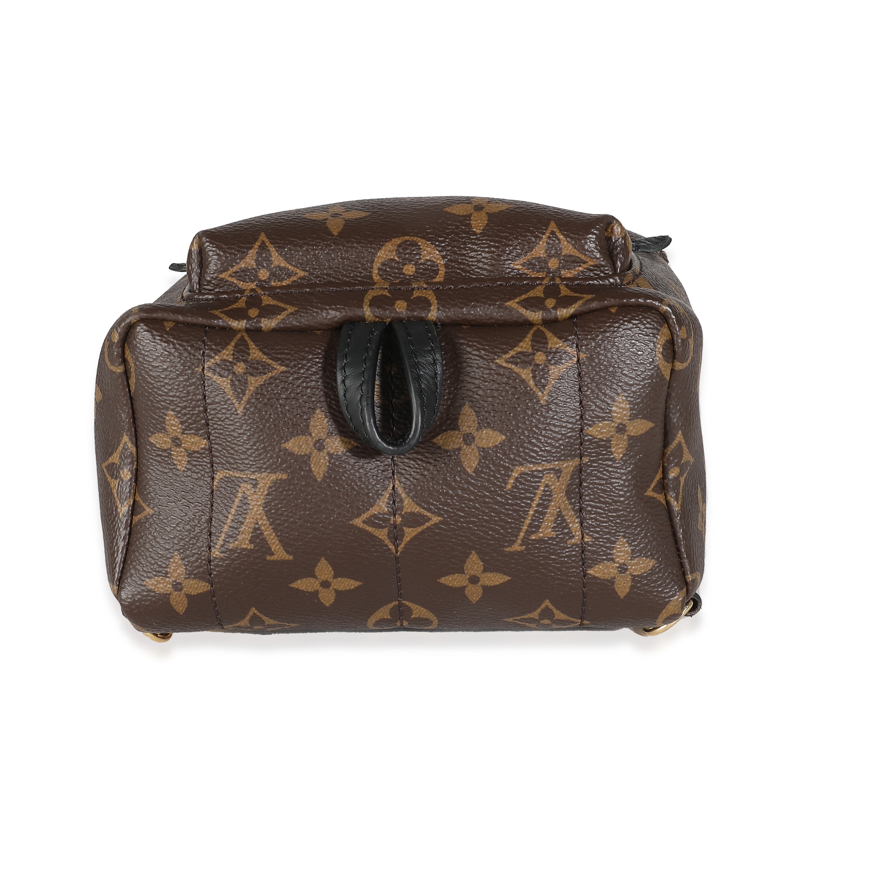 Louis Vuitton Monogram Canvas Mini Palm Springs