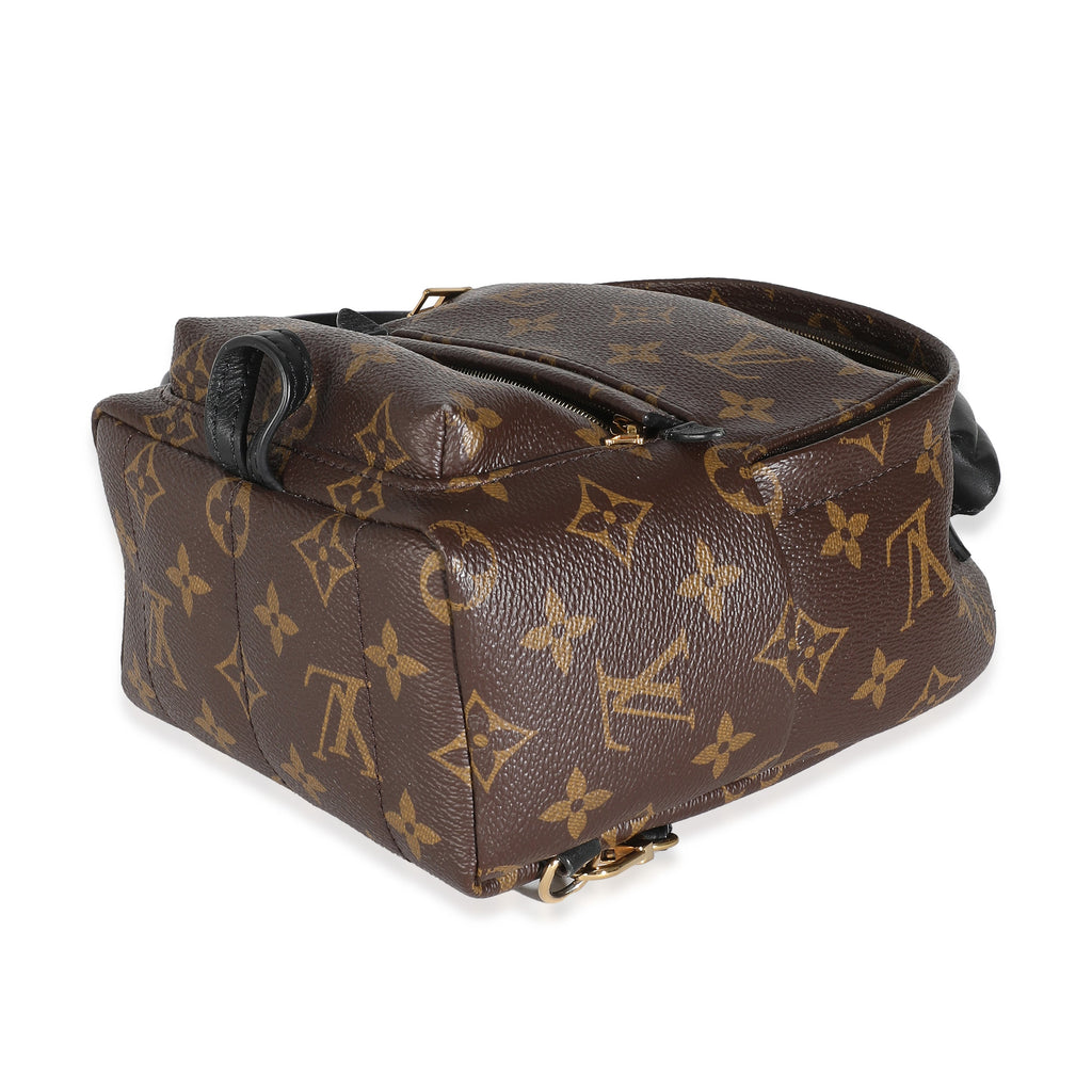 Louis Vuitton Monogram Canvas Mini Palm Springs