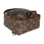 Louis Vuitton Monogram Canvas Mini Palm Springs
