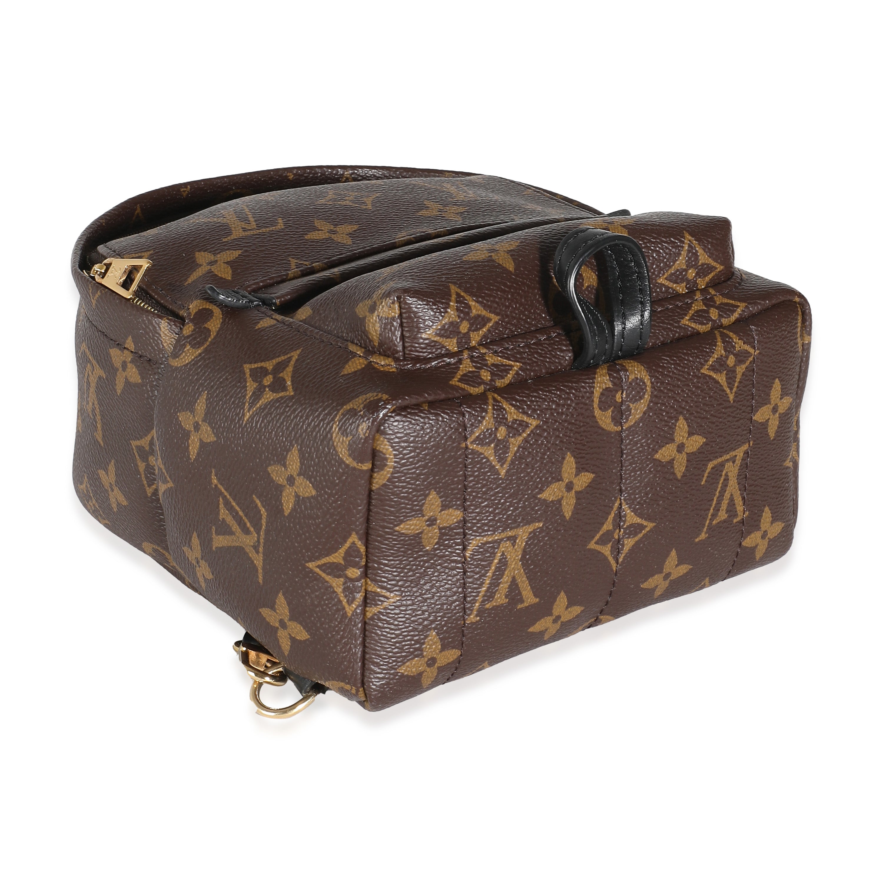 Louis Vuitton Monogram Canvas Mini Palm Springs