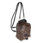 Louis Vuitton Monogram Canvas Mini Palm Springs