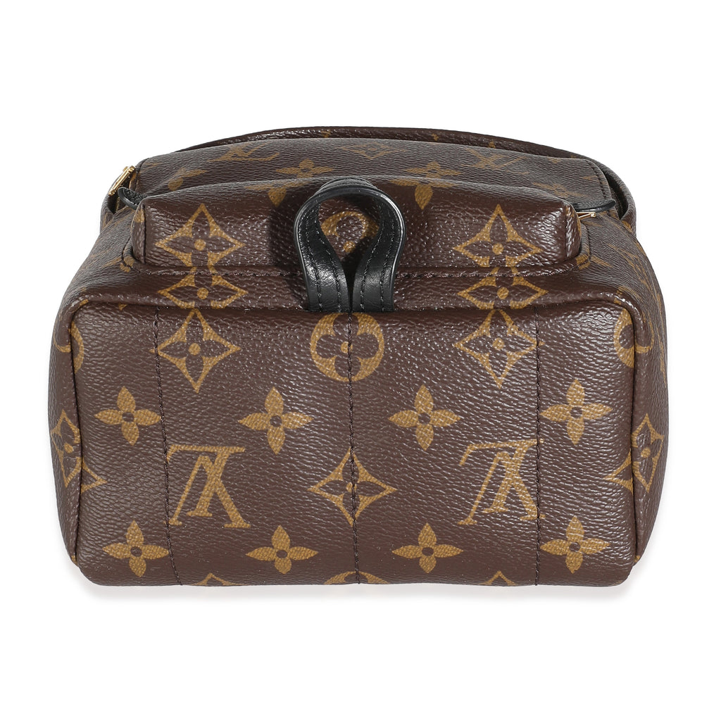 Louis Vuitton Monogram Canvas Mini Palm Springs
