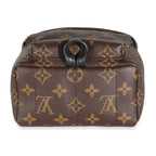 Louis Vuitton Monogram Canvas Mini Palm Springs