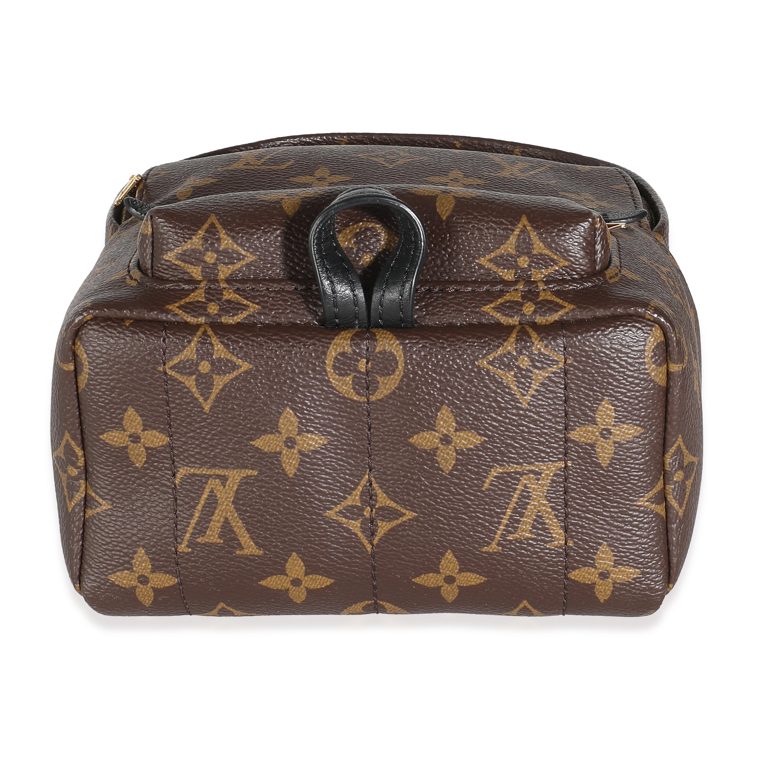 Louis Vuitton Monogram Canvas Mini Palm Springs