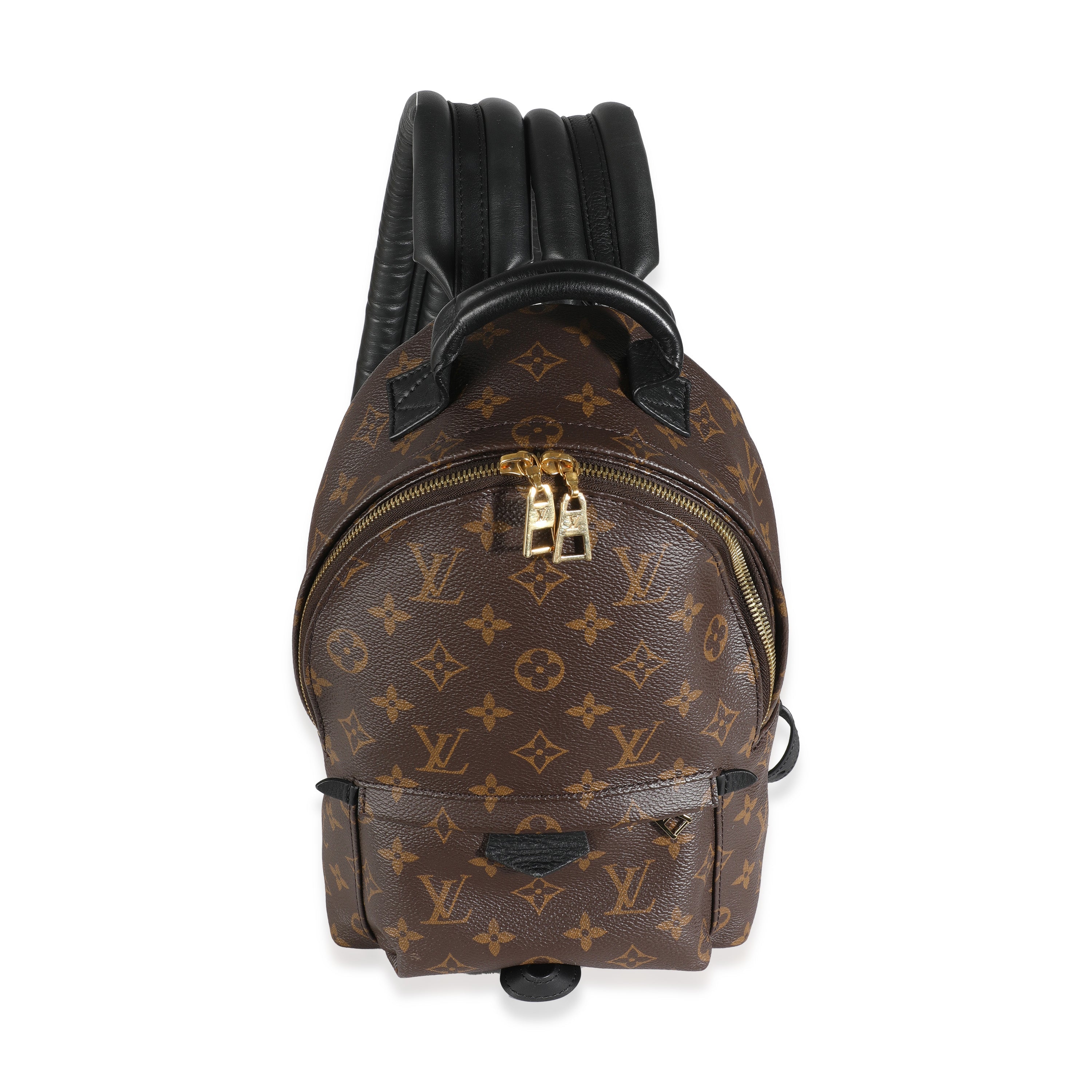 Louis Vuitton Monogram Canvas Palm Springs PM
