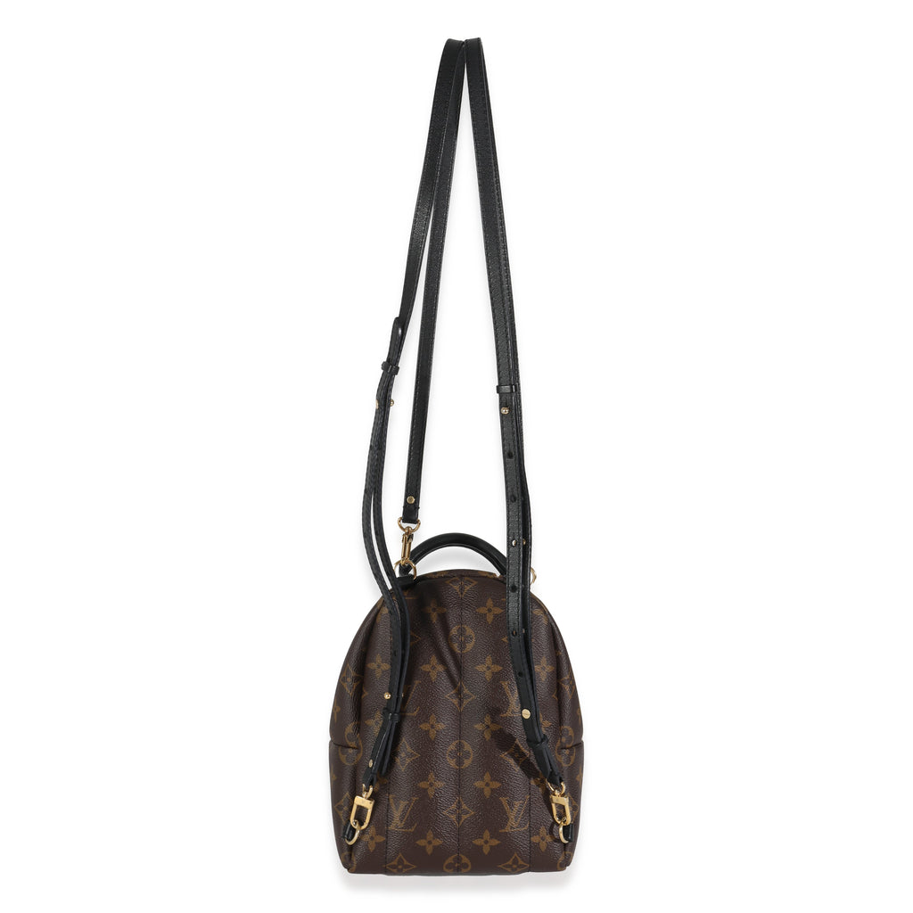 Louis Vuitton Monogram Canvas Mini Palm Springs