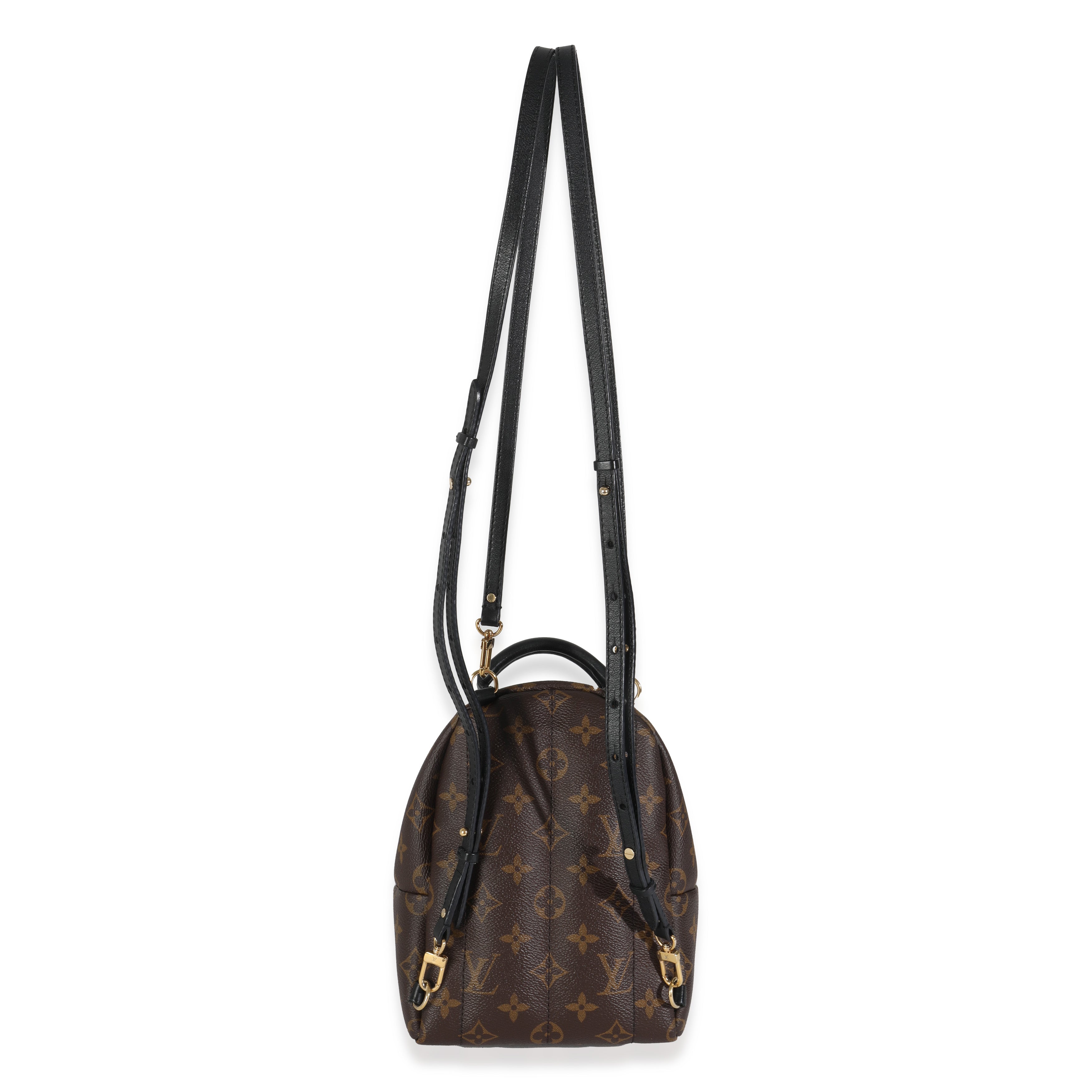 Louis Vuitton Monogram Canvas Mini Palm Springs