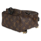 Louis Vuitton Monogram Canvas Mini Palm Springs