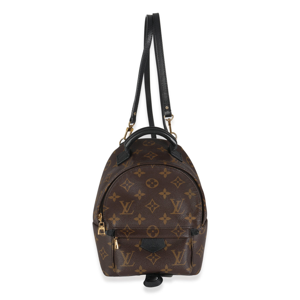 Louis Vuitton Monogram Canvas Mini Palm Springs