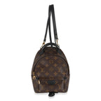 Louis Vuitton Monogram Canvas Mini Palm Springs