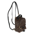 Louis Vuitton Monogram Canvas Mini Palm Springs